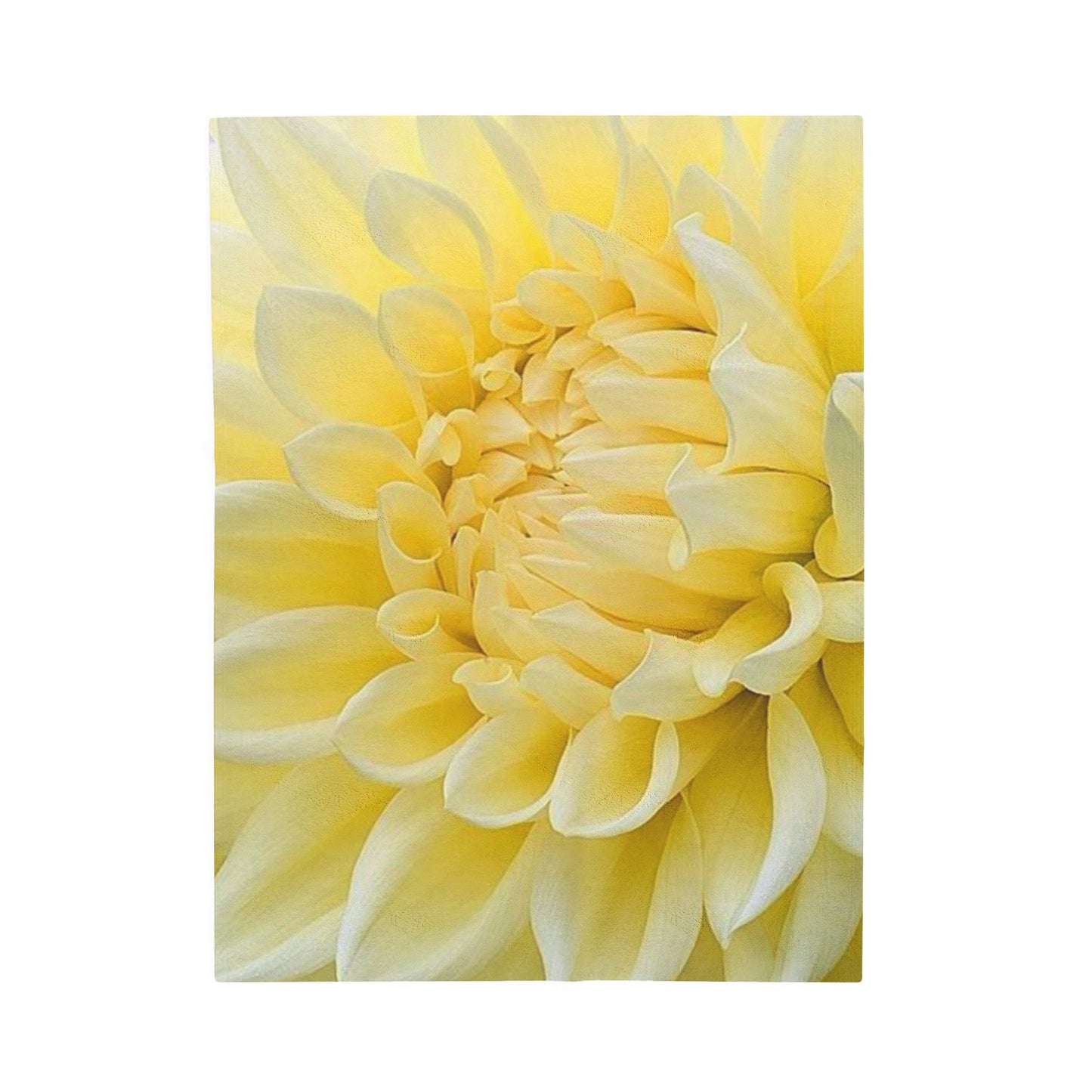 Yellow Dahlia Blanket