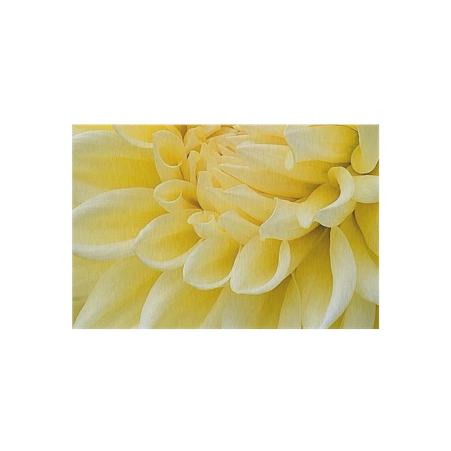 Yellow Dahlia Outdoor Rug