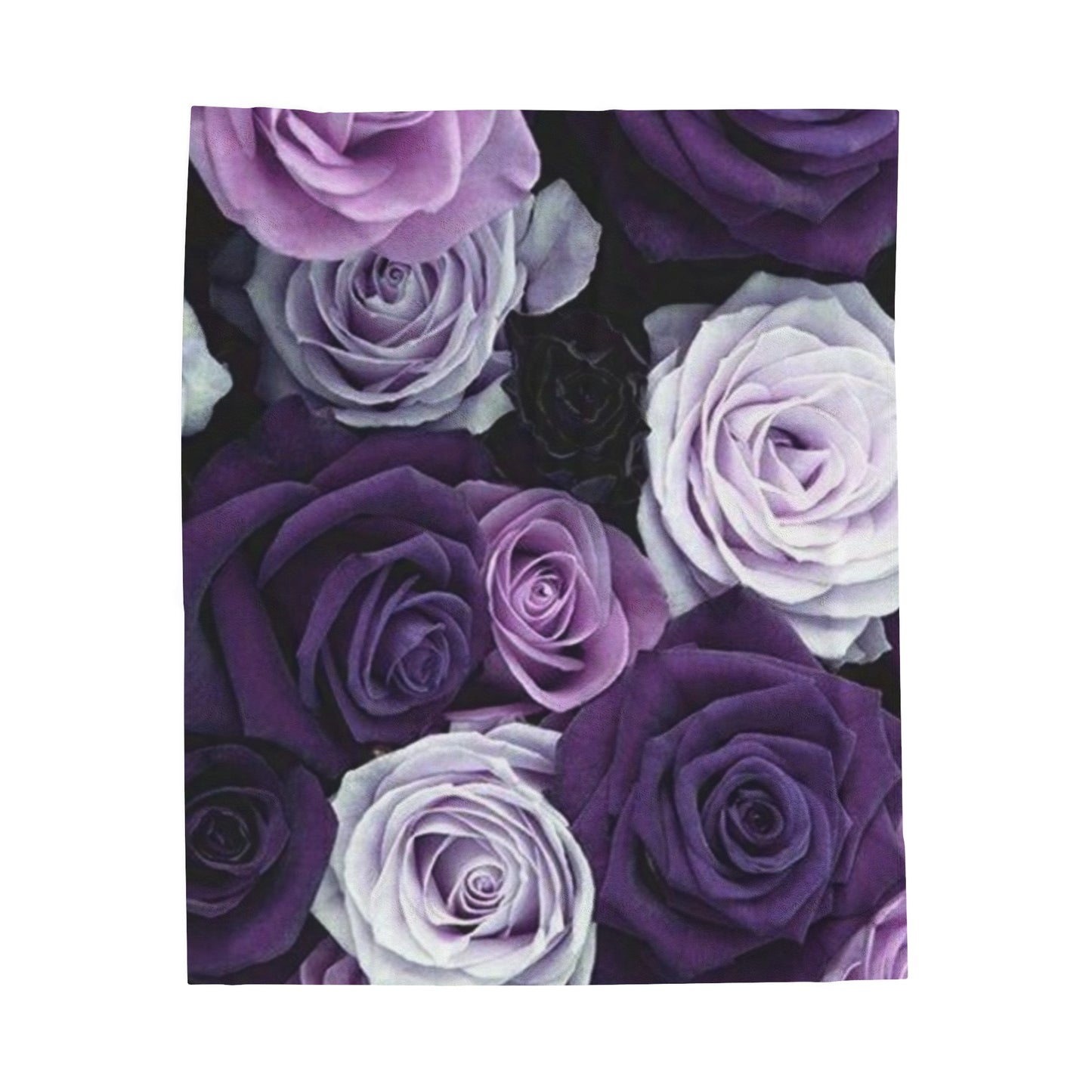 Purple Roses Blanket