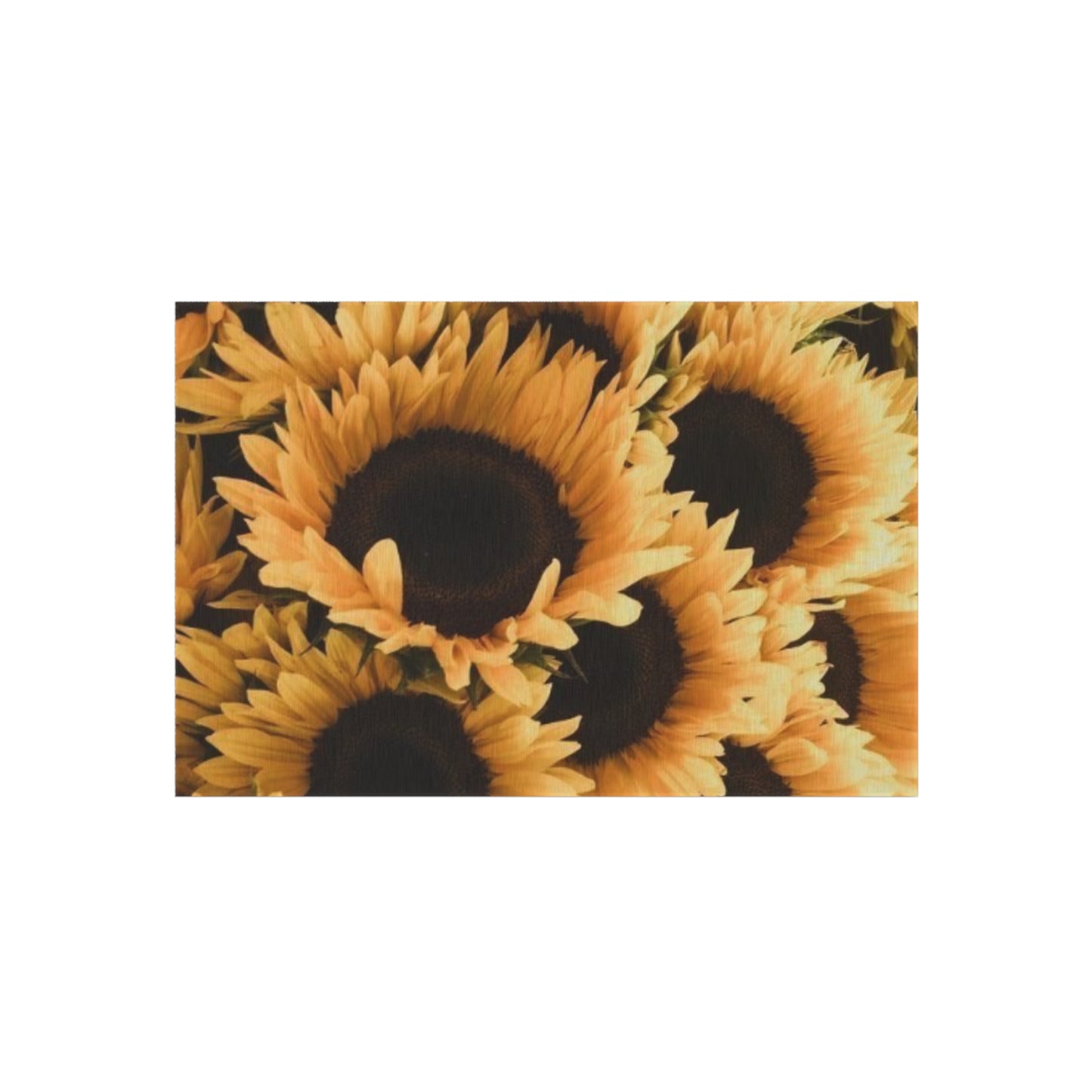 Sunflower Outdoor Rug