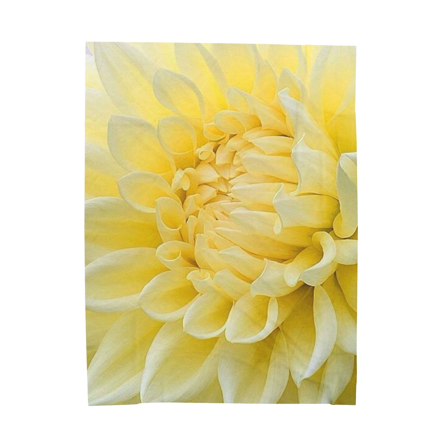 Yellow Dahlia Blanket