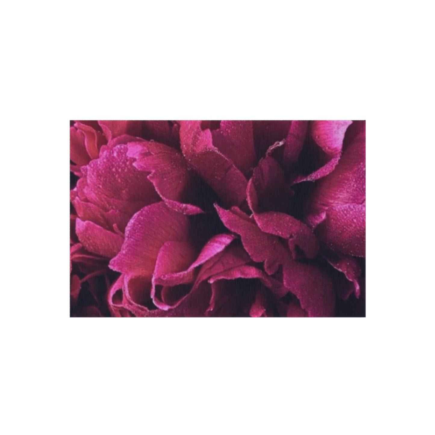 Magenta Floral Outdoor Rug