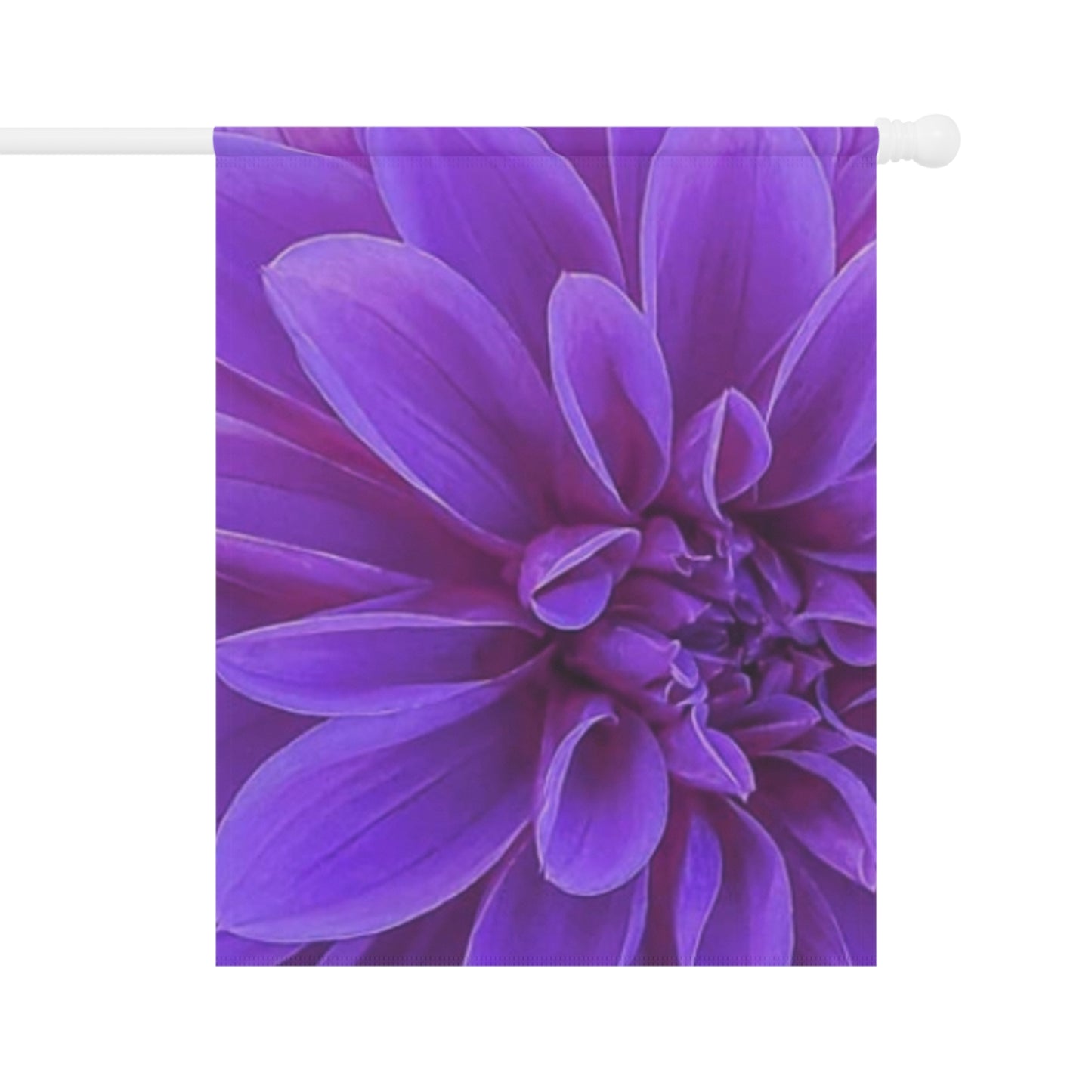 Purple Dahlia Garden & House Banner