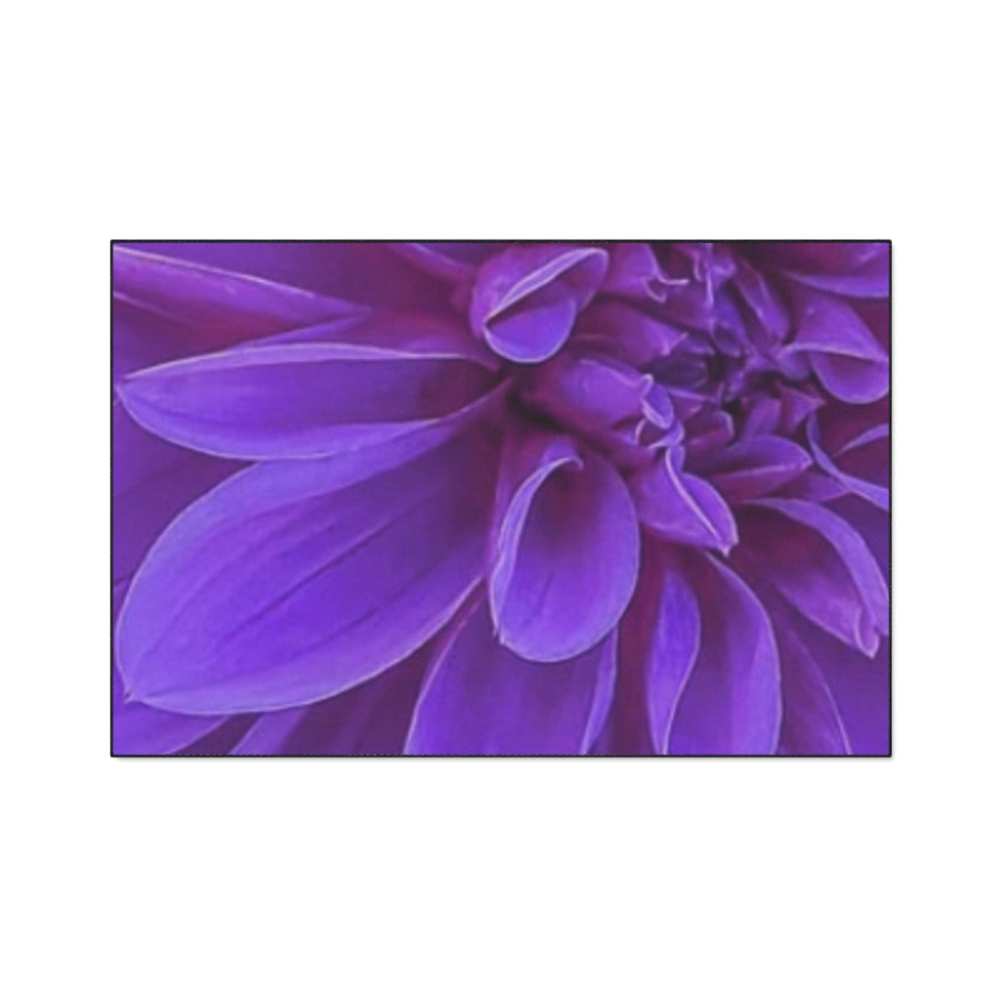 Purple Dahlia Heavy Duty Floor Mat