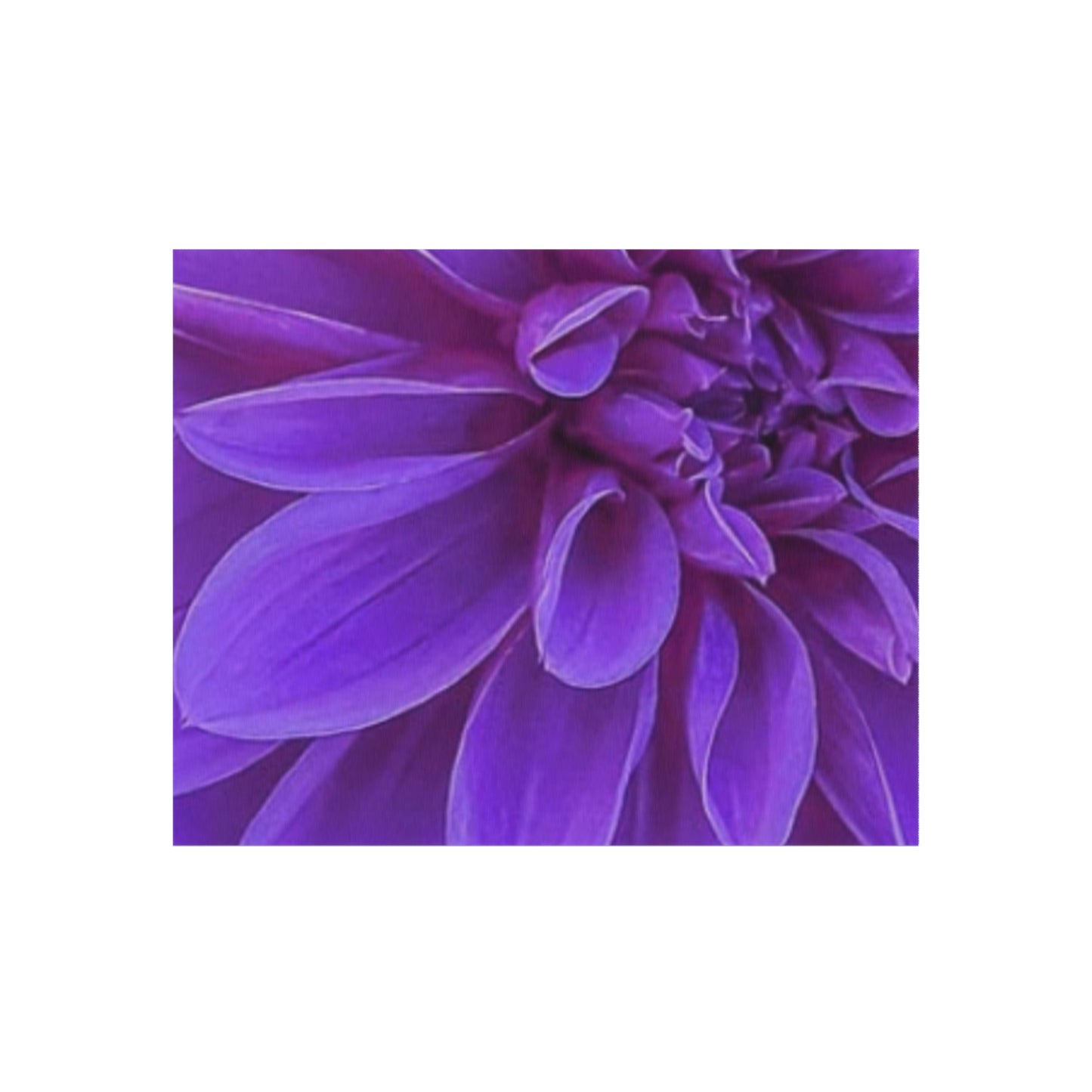 Purple Dahlia Outdoor Rug