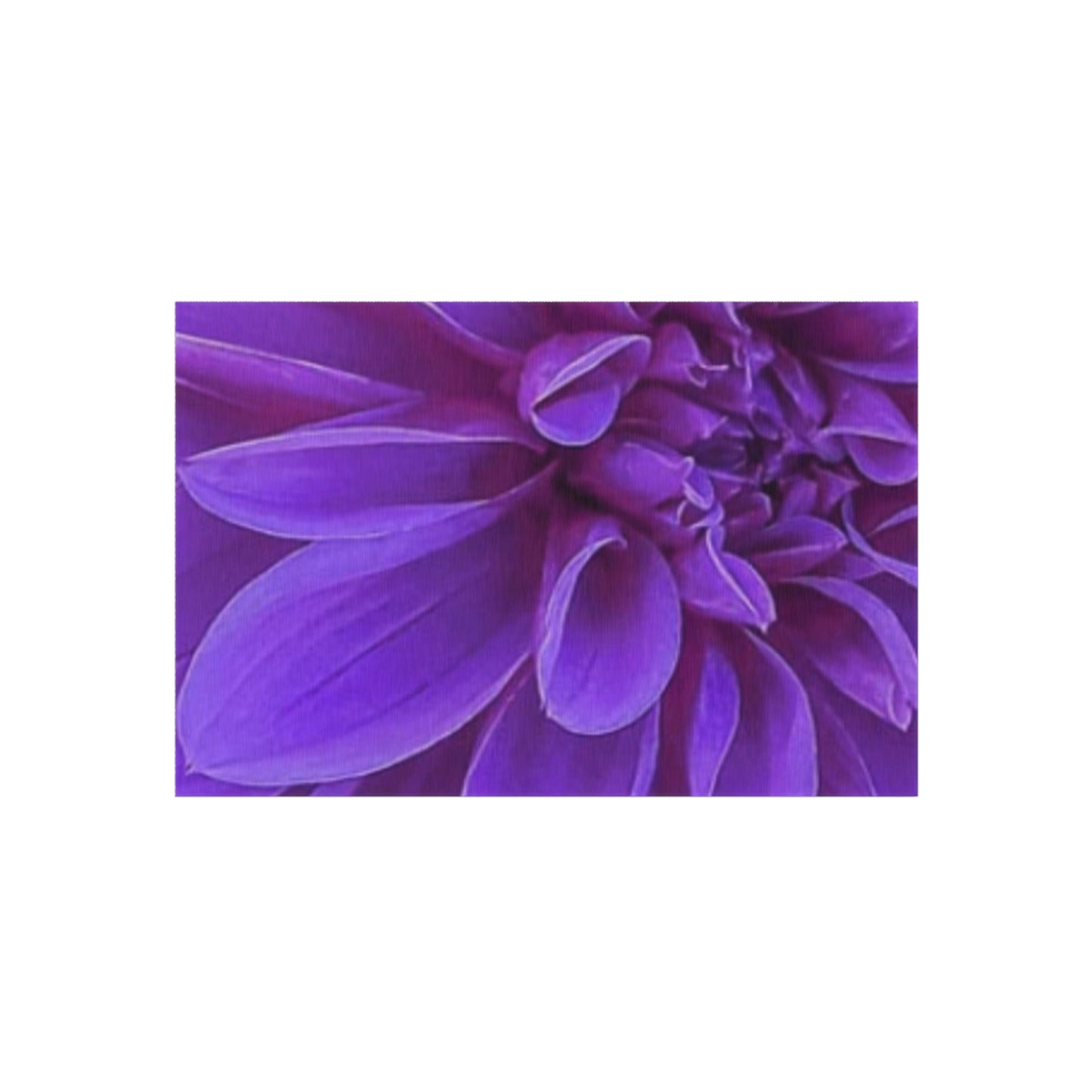 Purple Dahlia Outdoor Rug