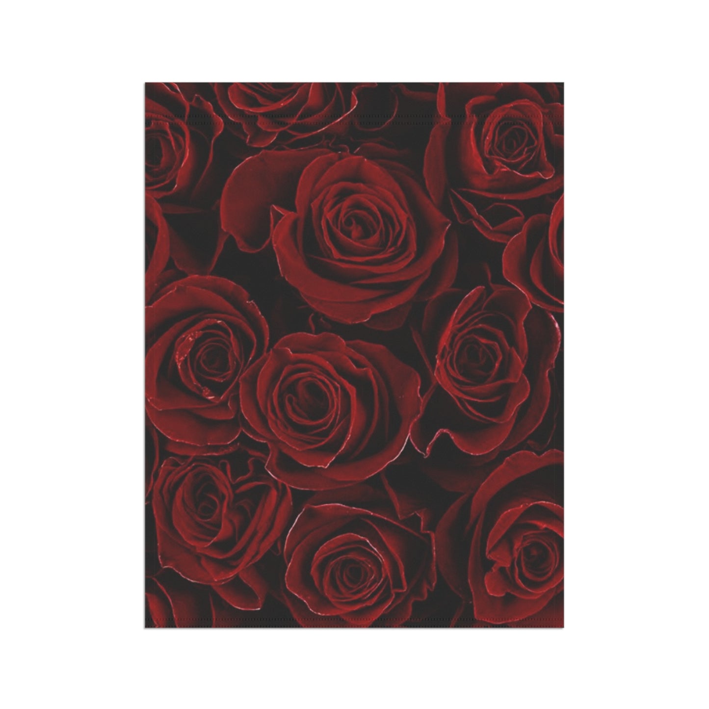 Red Roses Garden & House Banner