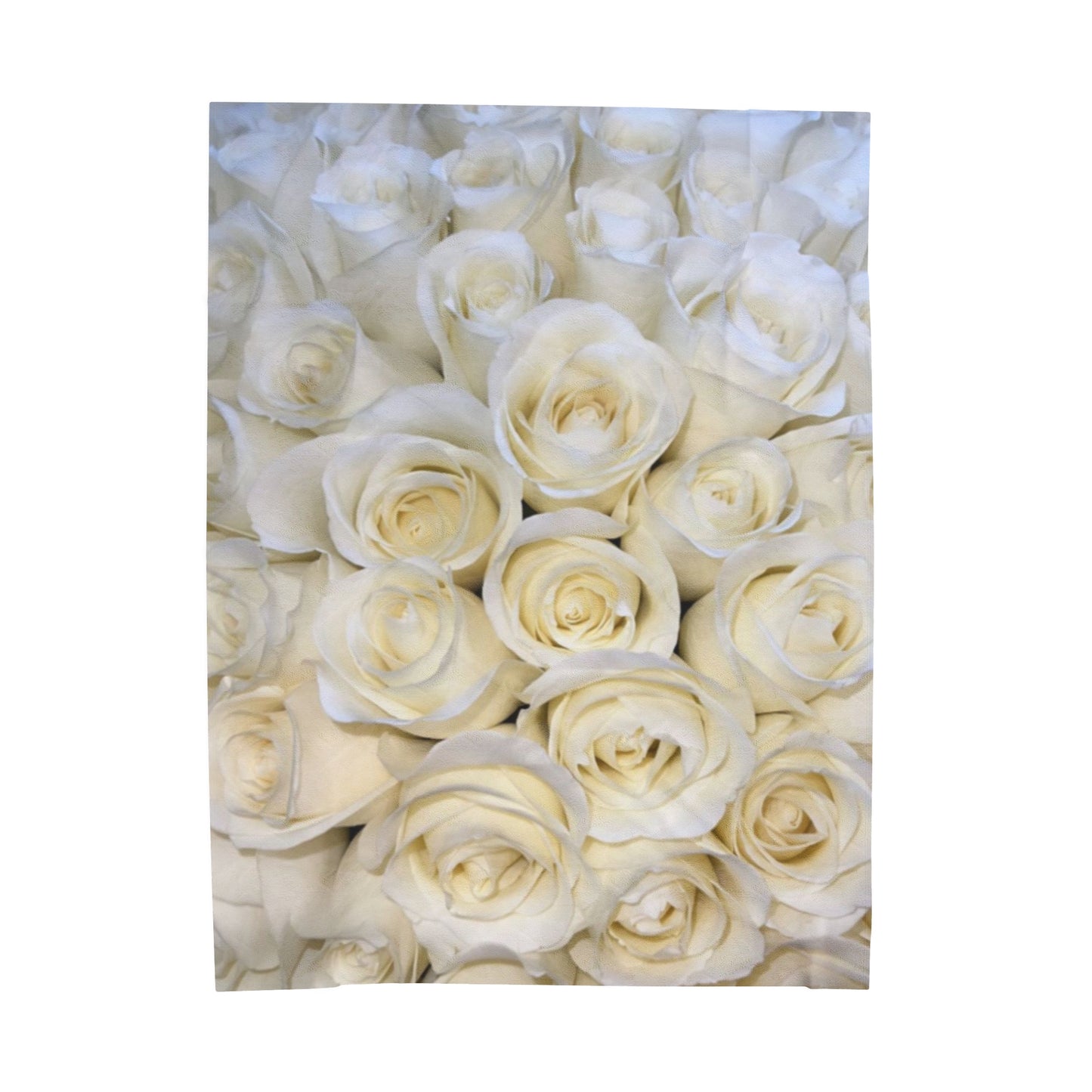 White Roses Blanket