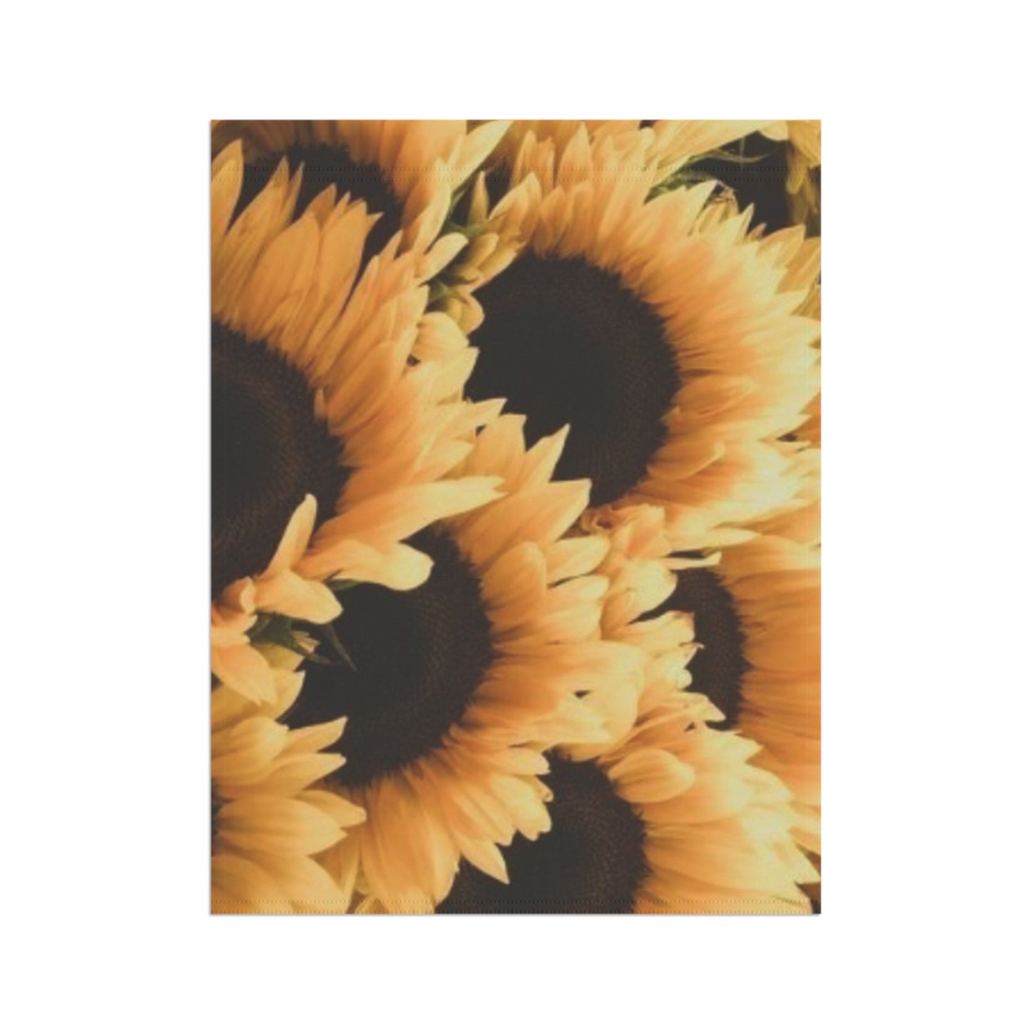 Sunflower Garden & House Banner