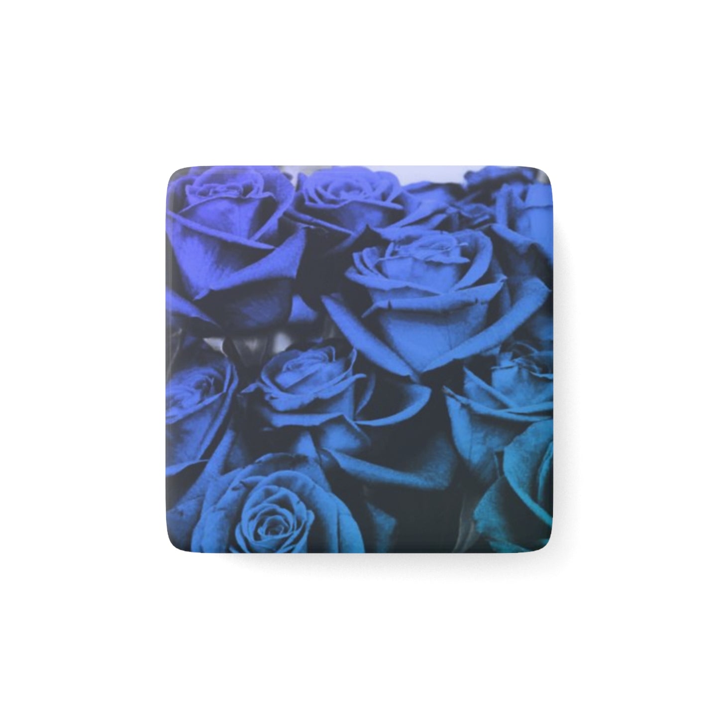 Blue Roses Magnet