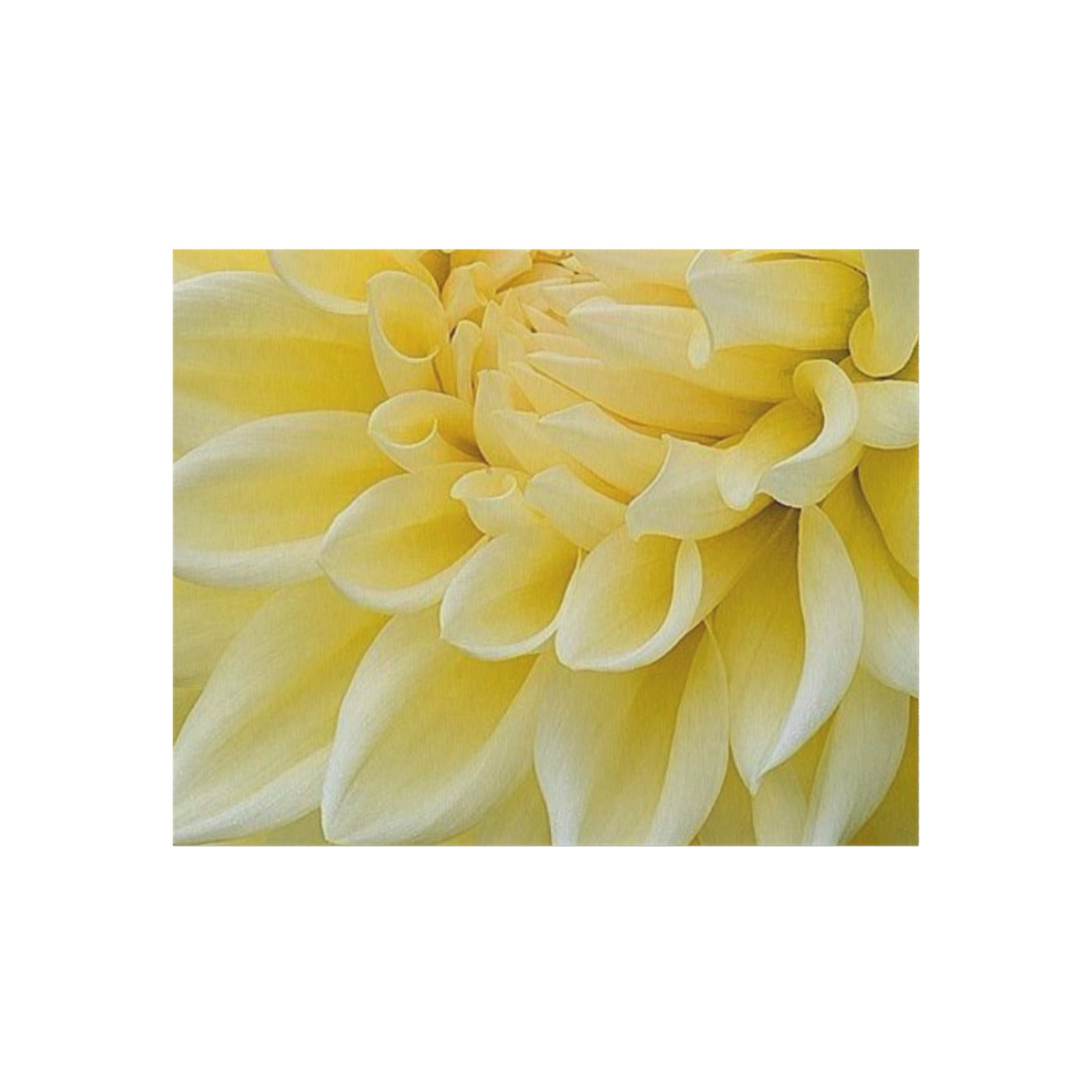 Yellow Dahlia Outdoor Rug