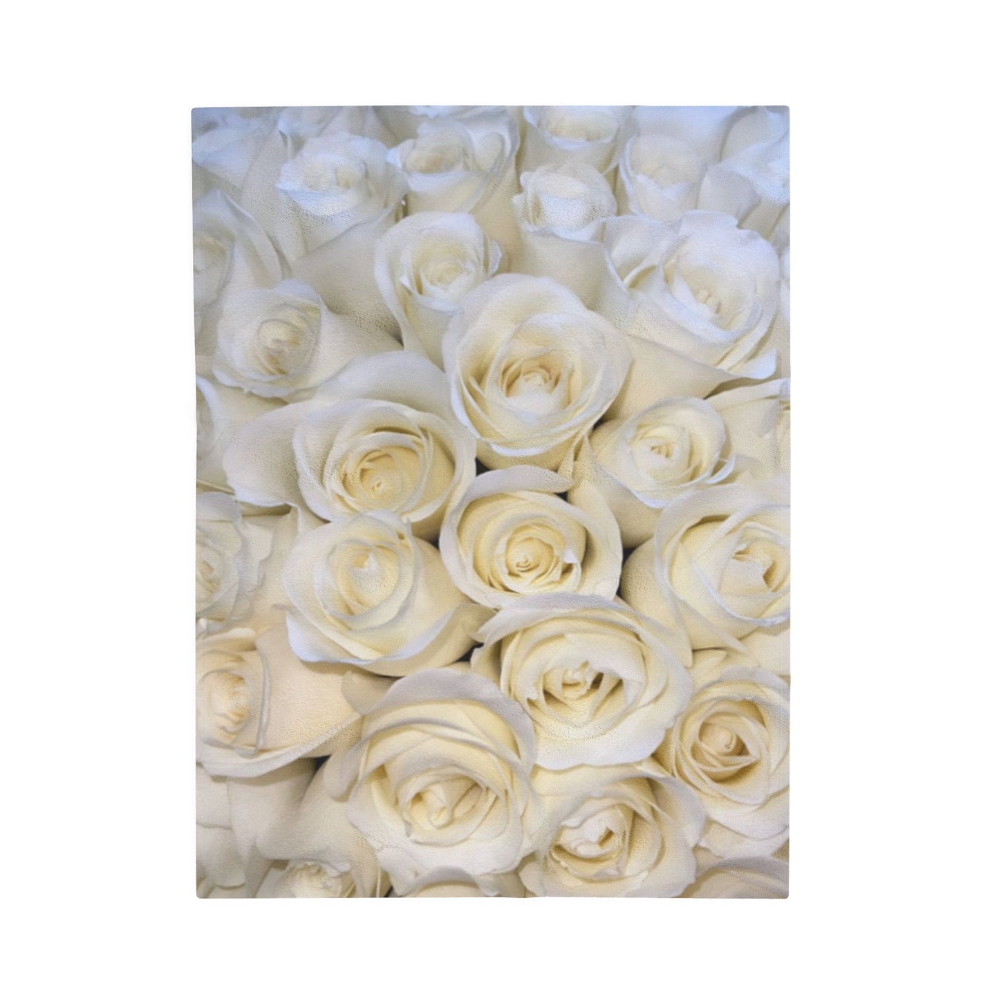 White Roses Blanket