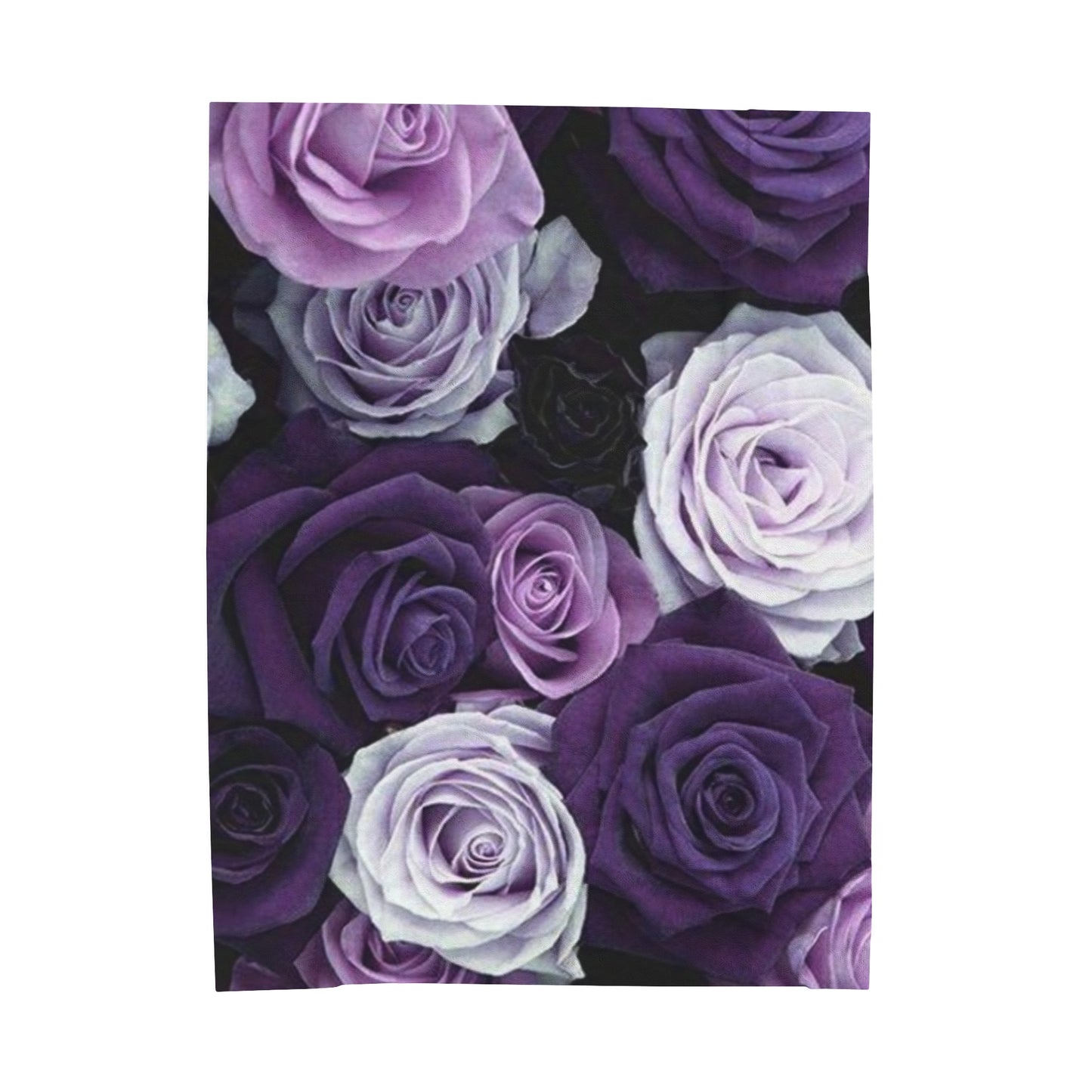 Purple Roses Blanket