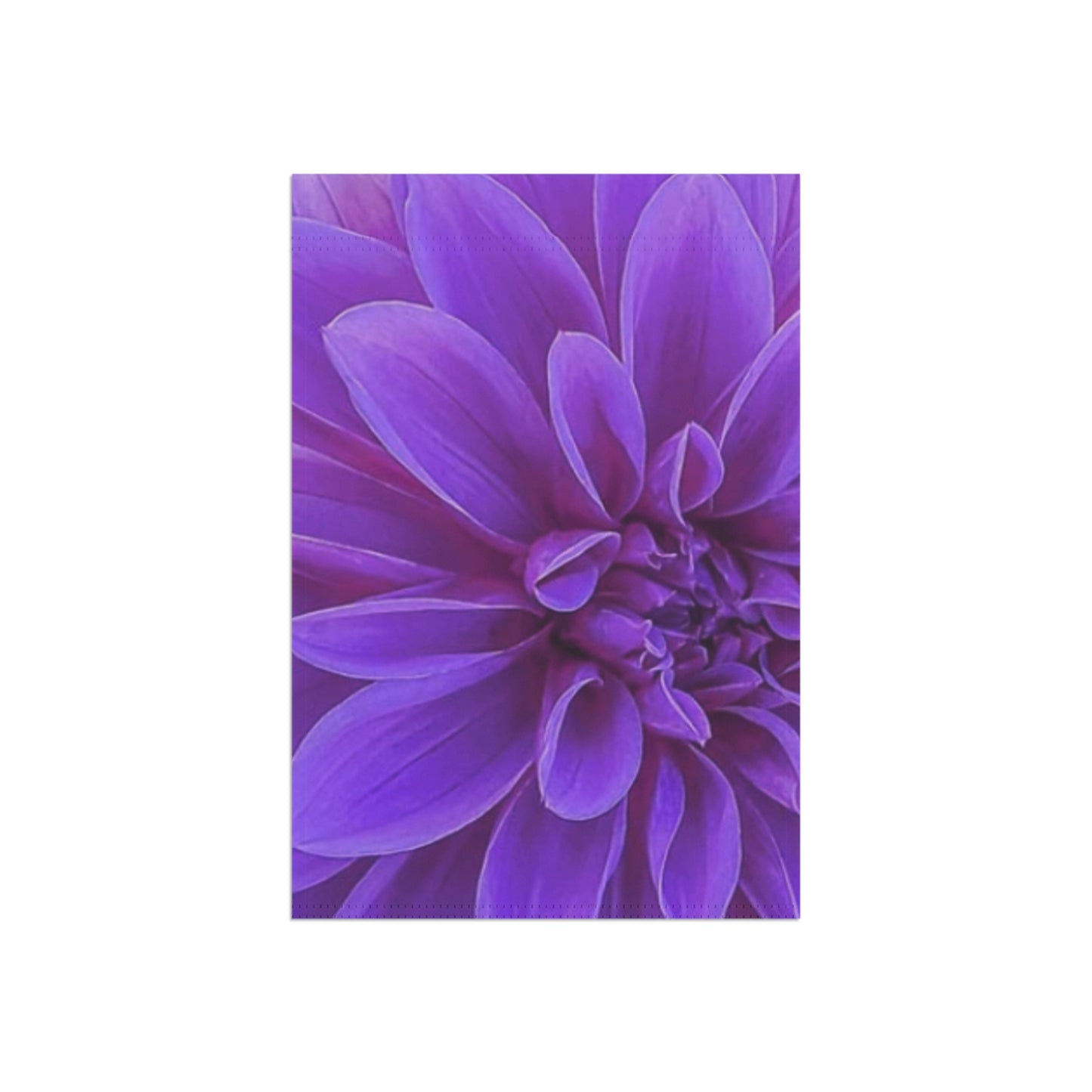 Purple Dahlia Garden & House Banner