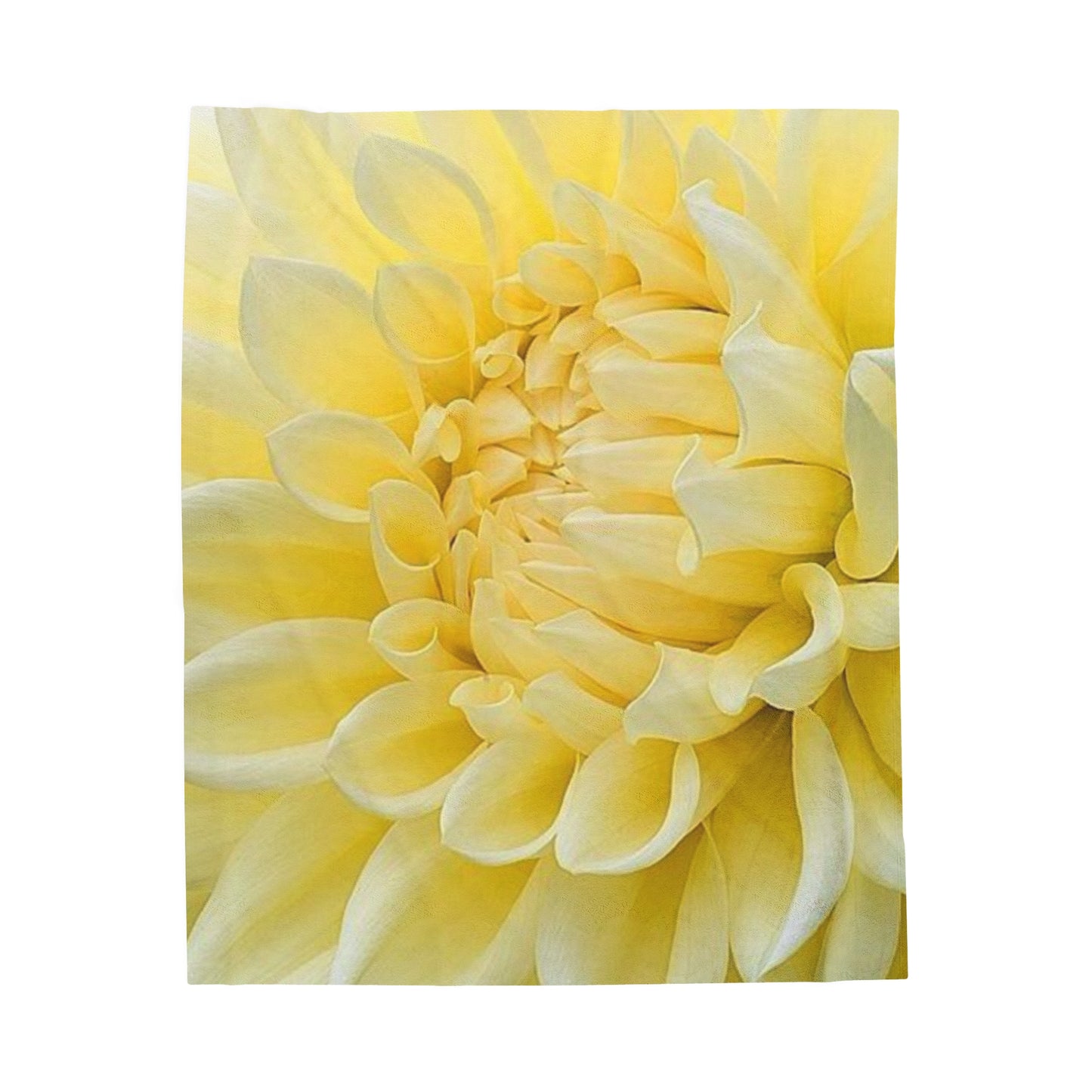 Yellow Dahlia Blanket