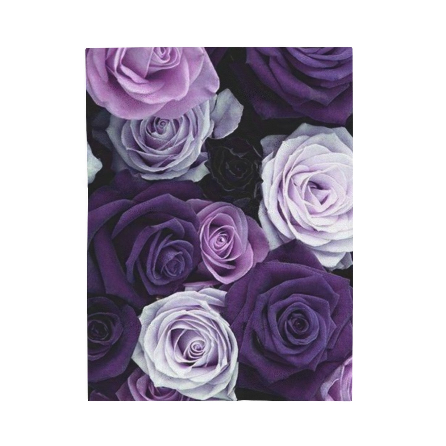 Purple Roses Blanket