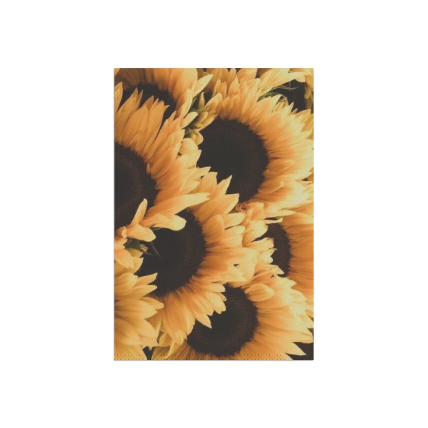 Sunflower Garden & House Banner