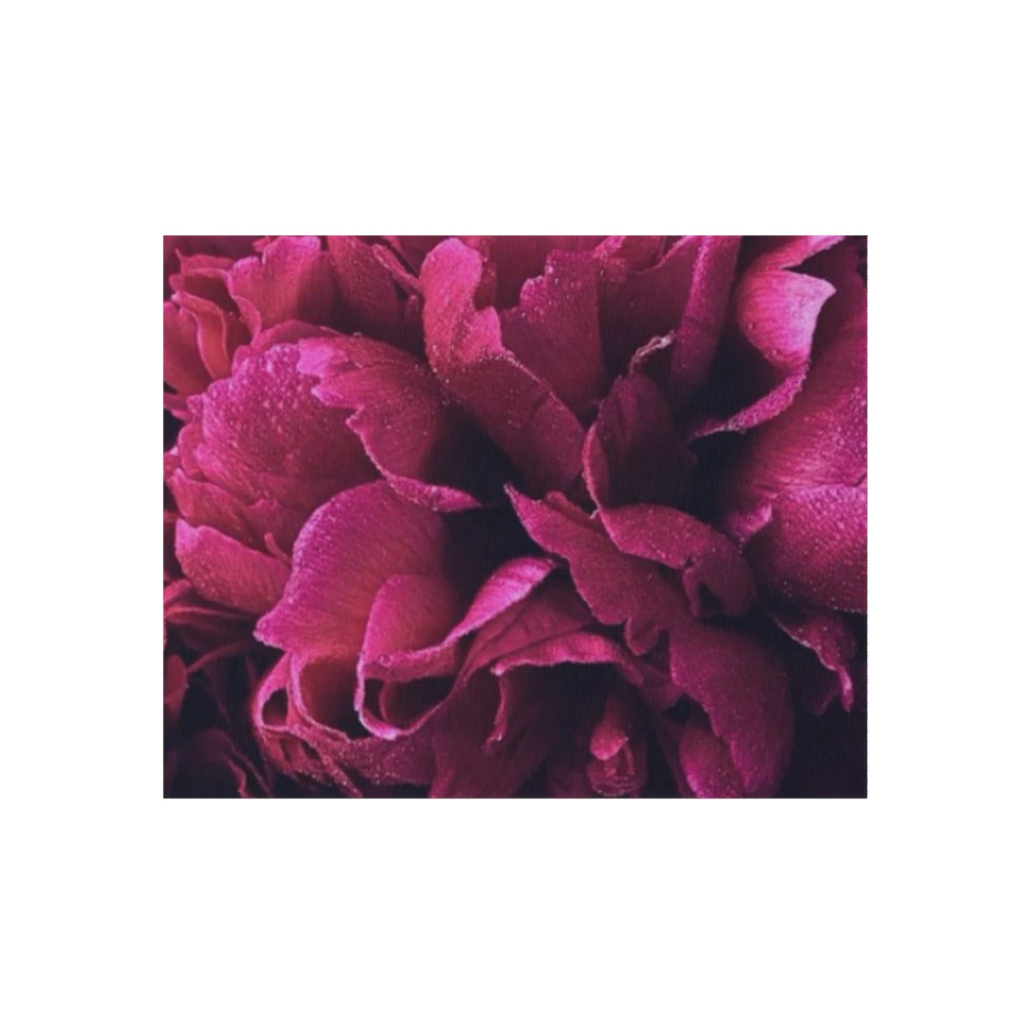 Magenta Floral Outdoor Rug