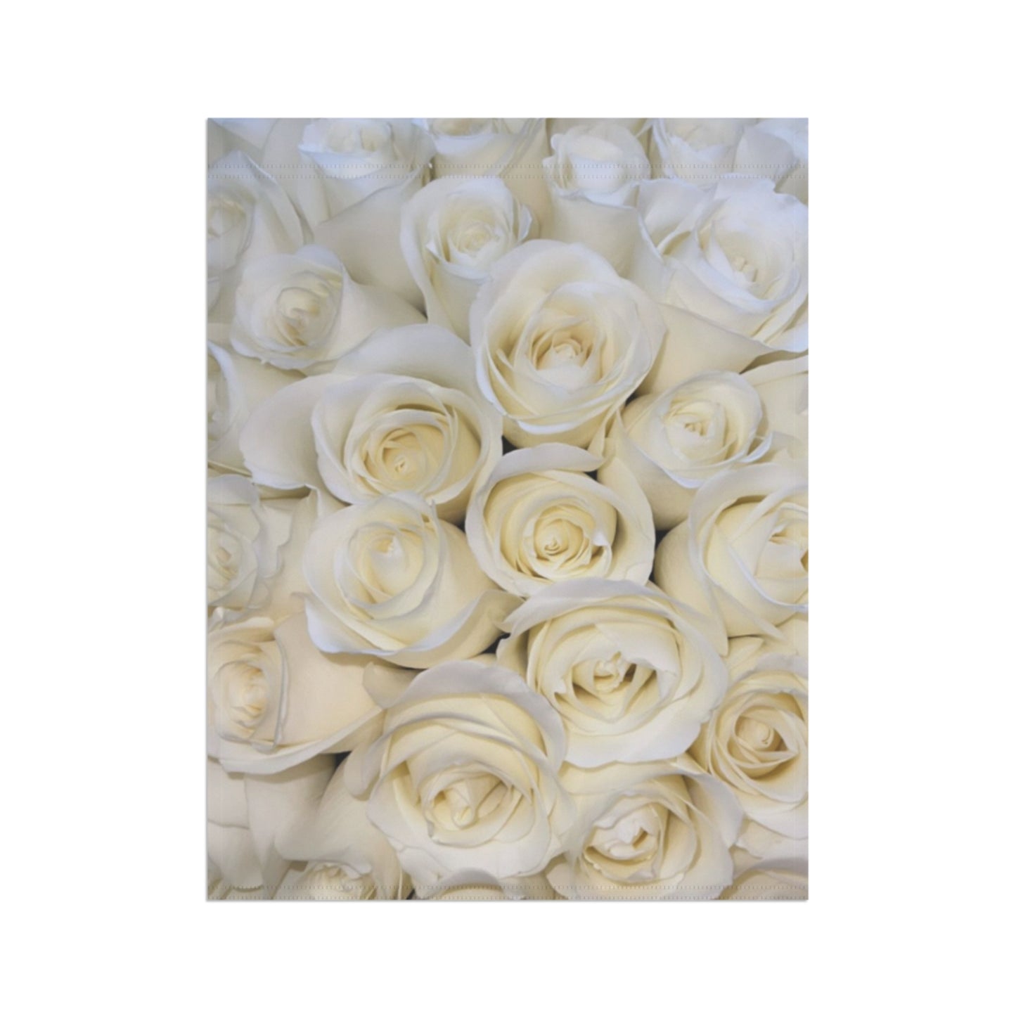 White Roses Garden & House Banner