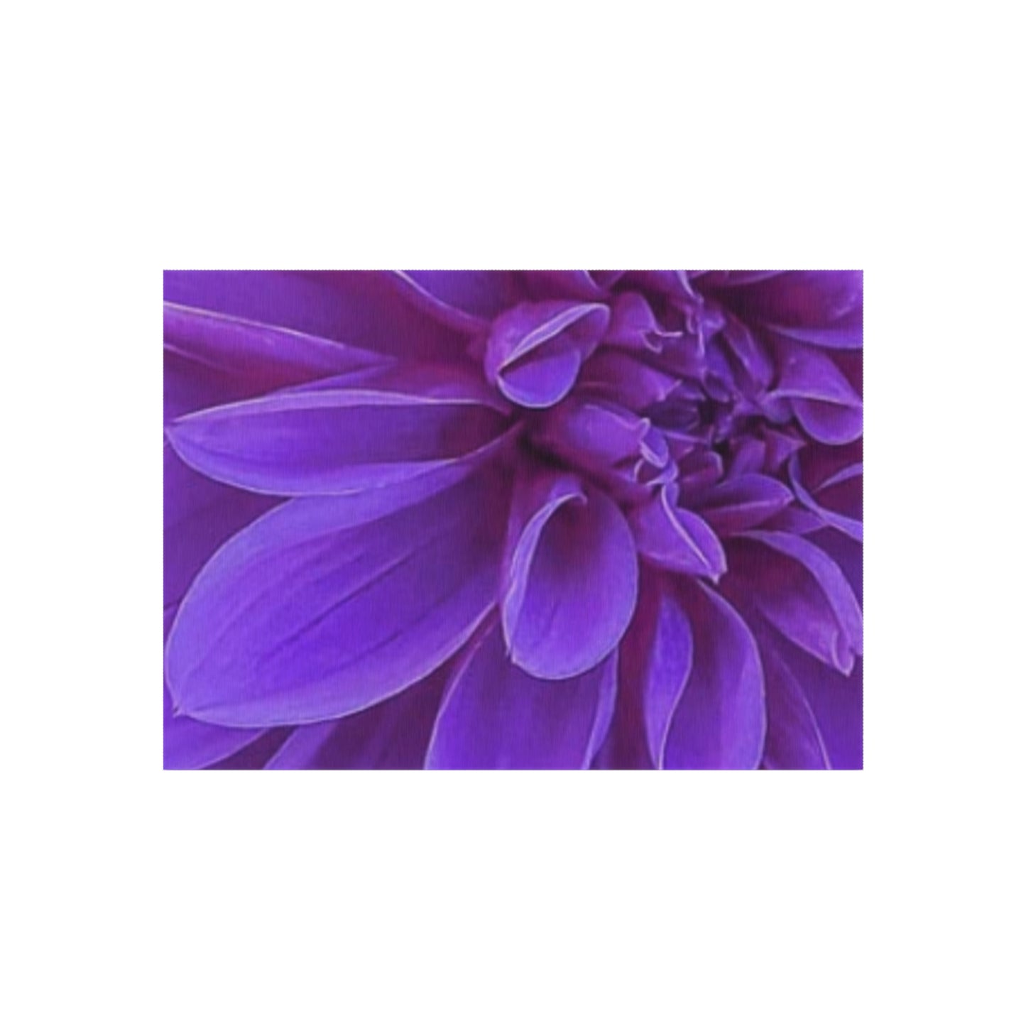 Purple Dahlia Outdoor Rug